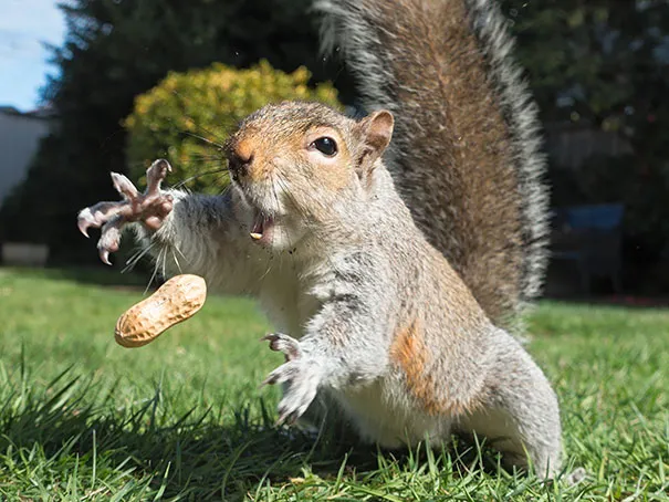 11 Perfectly Timed Photos Taken At The Best Moments