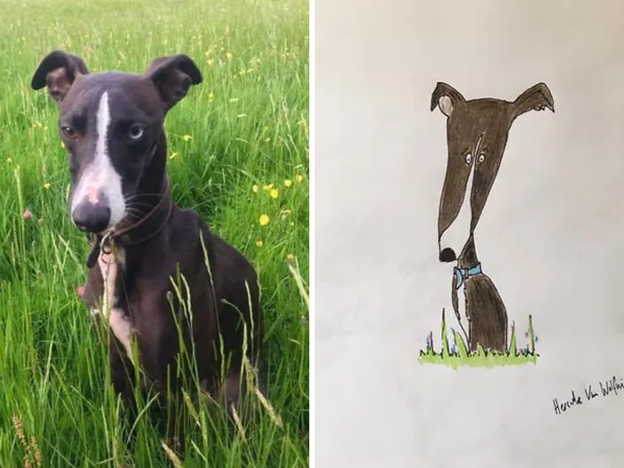 Man Who's Never Drawn In His Life Does Crappy Pet Portraits For Charity And Raises Over £13.6k (30 New Pics)