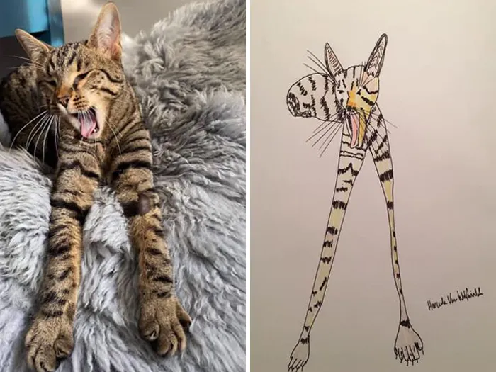 Man Who's Never Drawn In His Life Does Crappy Pet Portraits For Charity And Raises Over £13.6k (30 New Pics)