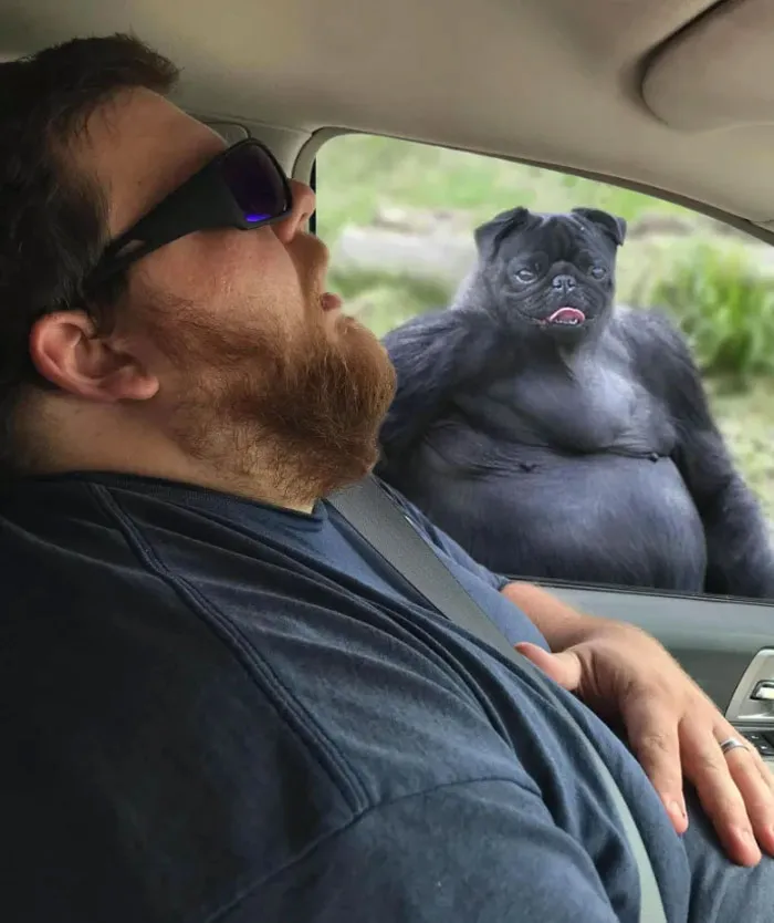 Este hombre se durmió durante un viaje en coche, y su esposa pidió a la gente que photoshopeara lo que se perdió en el trayecto (30 fotos)