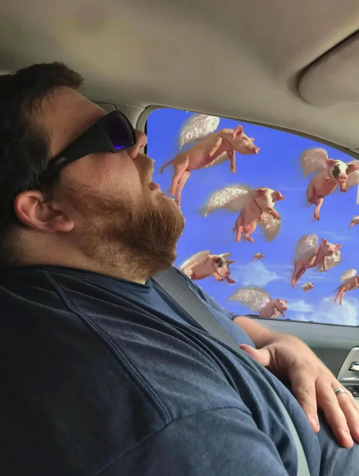 Guy Falls Asleep On A Road Trip, Wife Asks People To Photoshop What He Missed While Sleeping (30 Pics)
