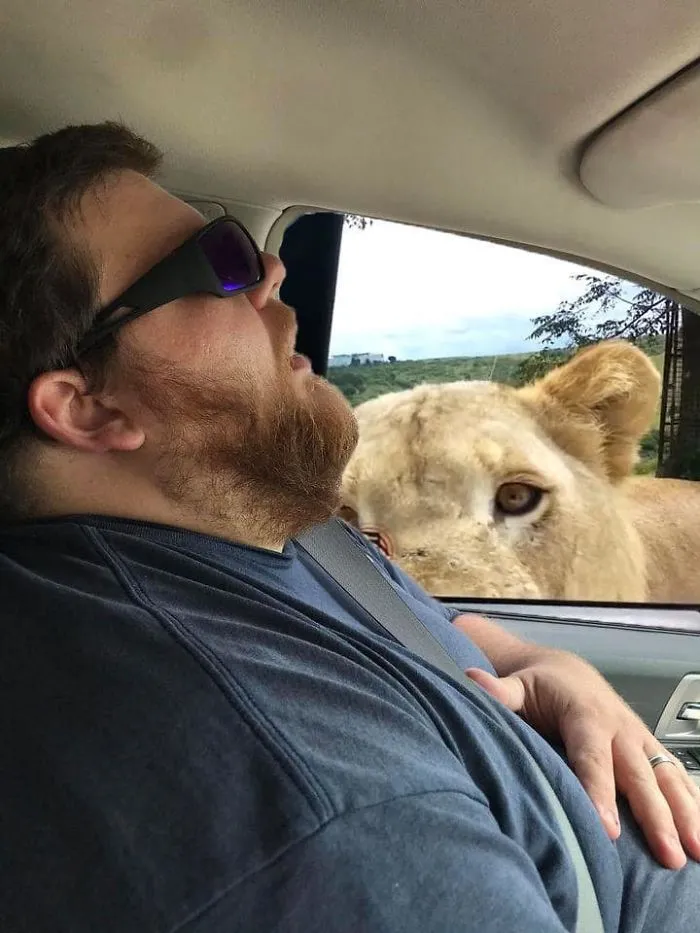 Este hombre se durmió durante un viaje en coche, y su esposa pidió a la gente que photoshopeara lo que se perdió en el trayecto (30 fotos)
