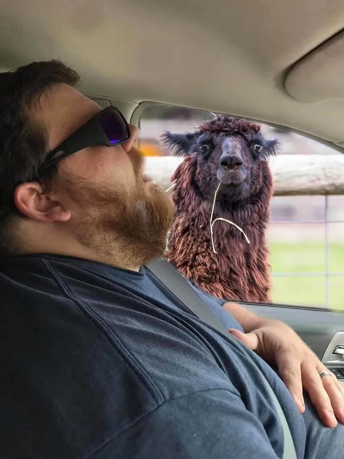 Guy Falls Asleep On A Road Trip, Wife Asks People To Photoshop What He Missed While Sleeping (30 Pics)
