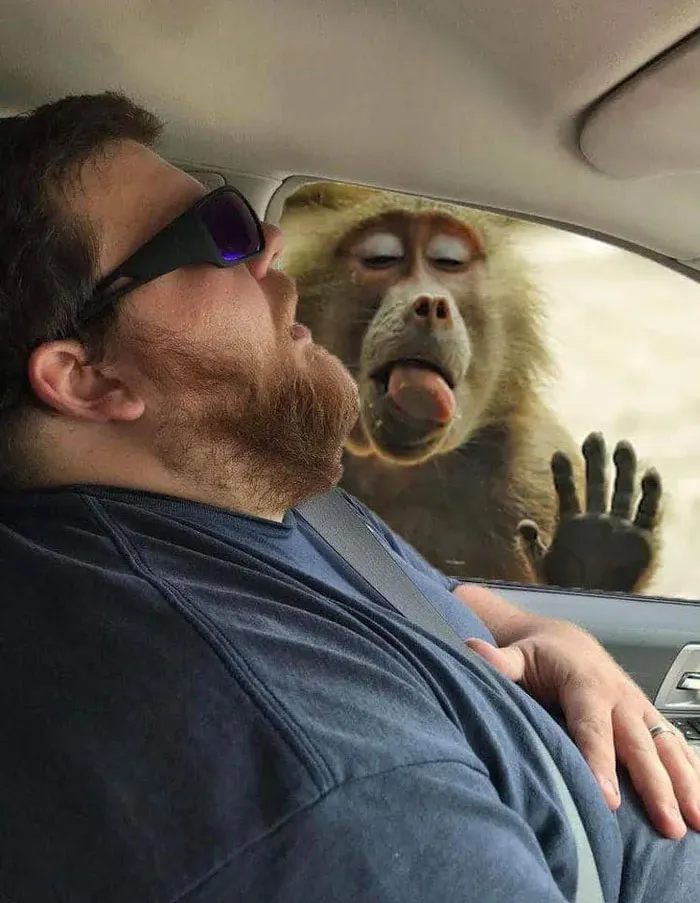 Guy Falls Asleep On A Road Trip, Wife Asks People To Photoshop What He Missed While Sleeping (30 Pics)