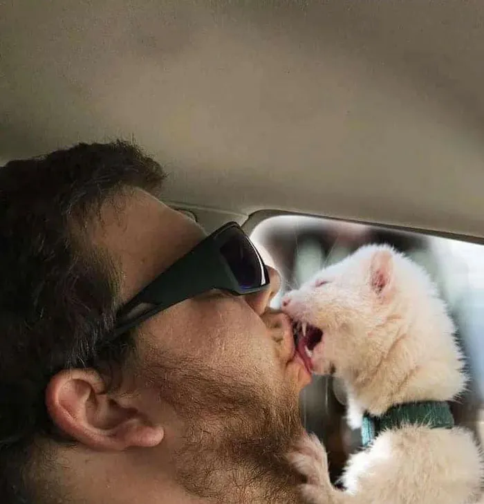 Guy Falls Asleep On A Road Trip, Wife Asks People To Photoshop What He Missed While Sleeping (30 Pics)