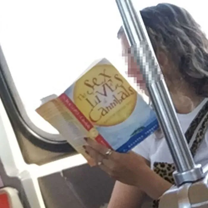 Interesting Reads For Your Commute