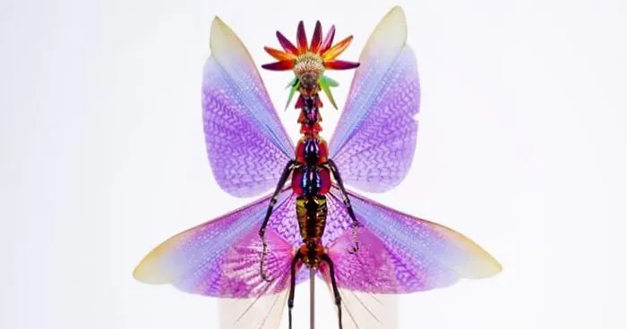 Here Are 18 Surreal Bug Fairies Made From Dead Insects Made By This Amsterdam-Based Artist