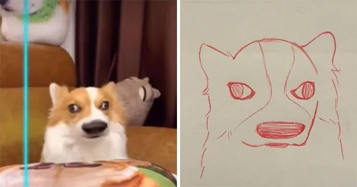17 Funny Illustrations Of Cats And Dogs After They Were Captured With The Time Warp Scan Filter, Drawn By An Artist On TikTok