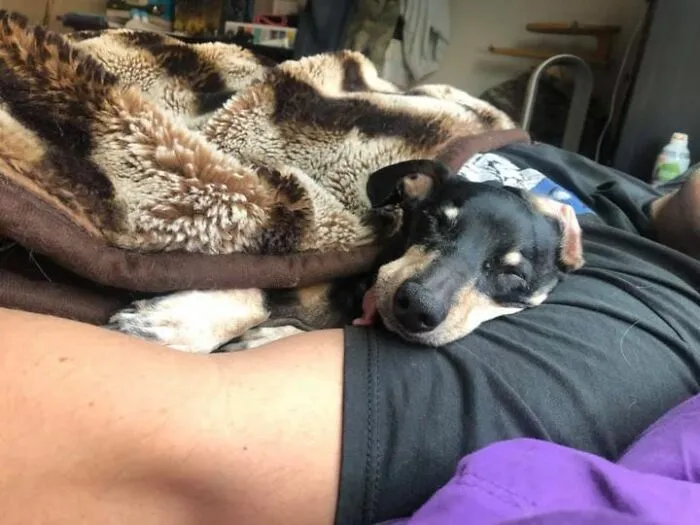 30 Of The Most Wholesome Responses To The 'Didn't Want A Dog' Challenge