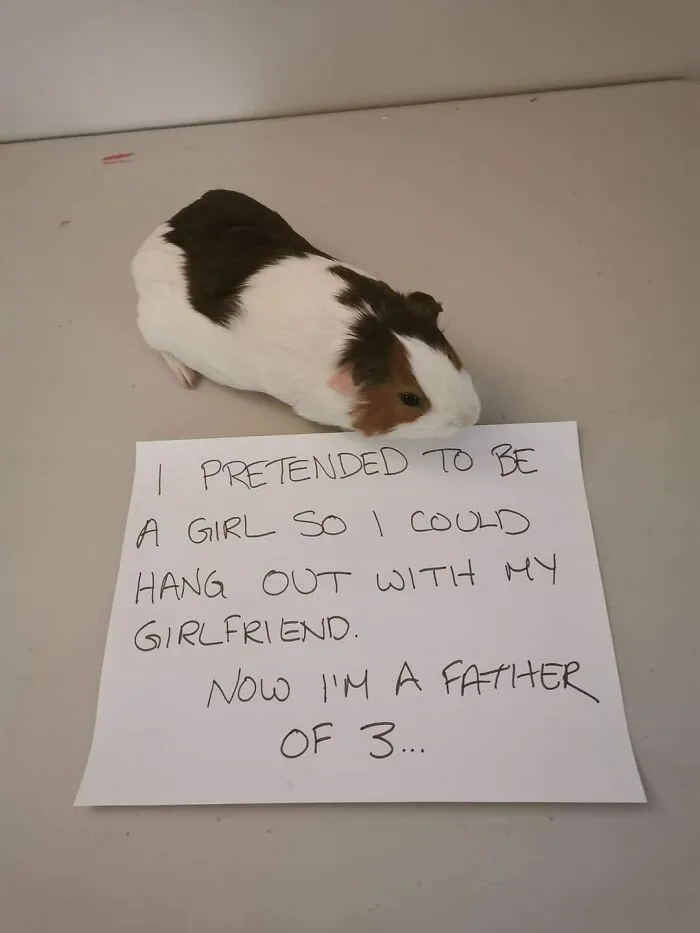 Simulé ser hembra para poder pasar el rato con mi novia. Ahora soy padre de 3