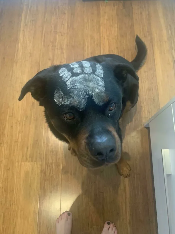 Boof es un uruk-hai