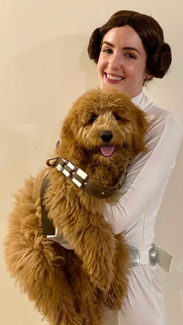 Chewbacca y Leia