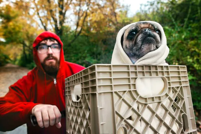 My Halloween Costume Ft. My Pug, Chuck