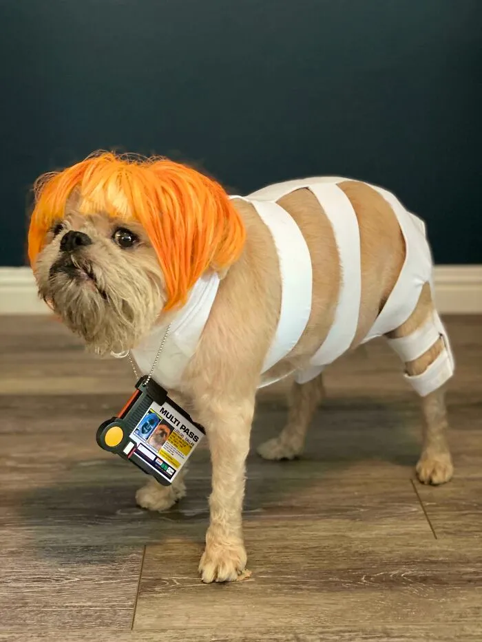 Leeloo Dallas Multipase