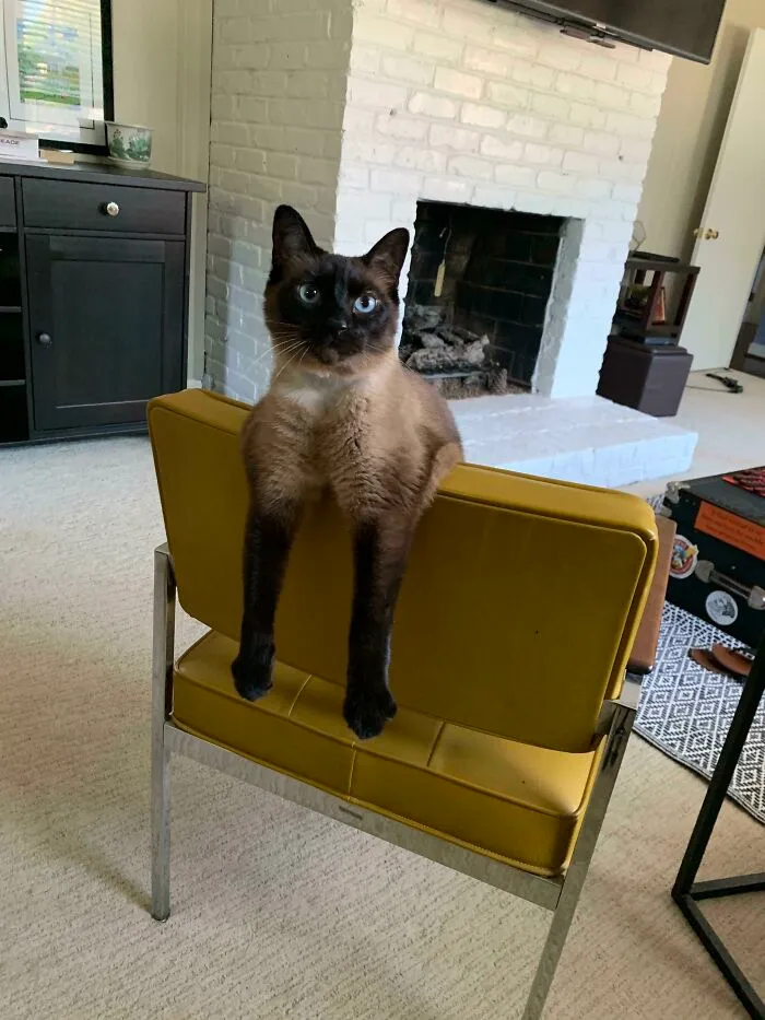 He Does This A Lot...