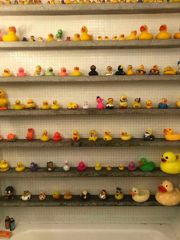 Este Airbnb tiene una colección de patitos de goma en la pared del baño