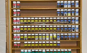 50 People Share Their Unique Collections