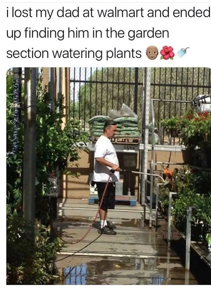 A Wholesome Dad
