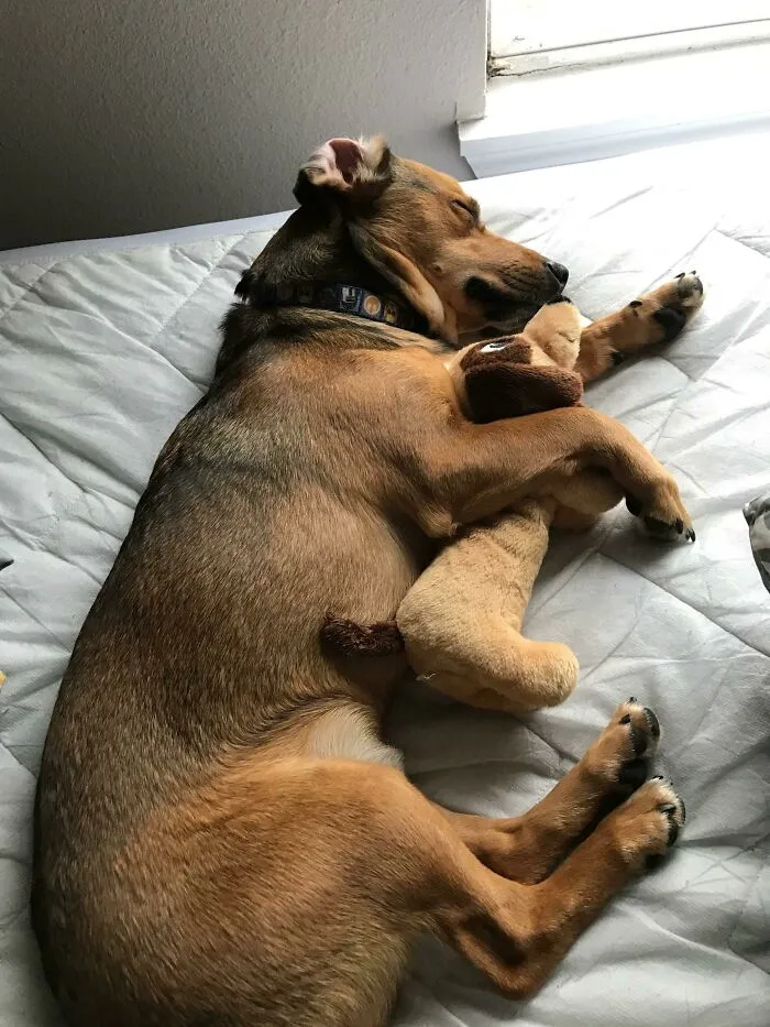 Murphy destruye todos menos este