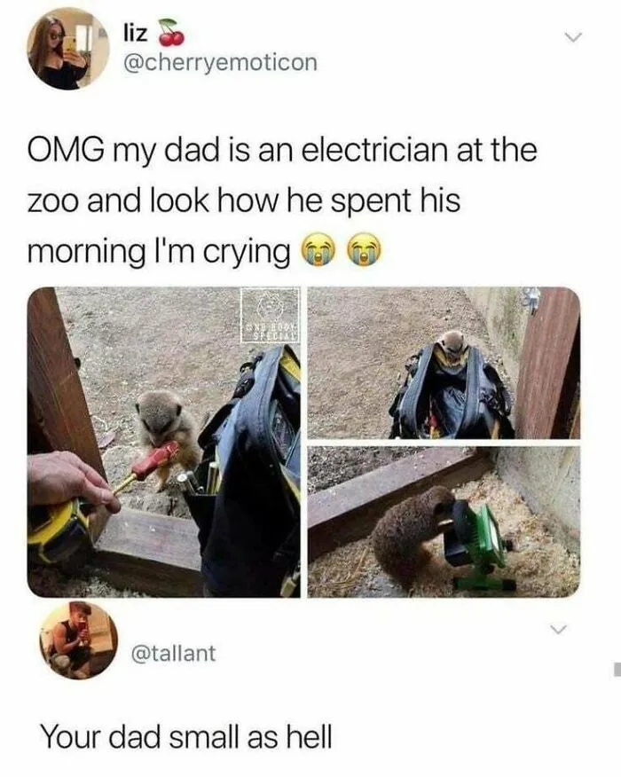Very Shmol Dad
