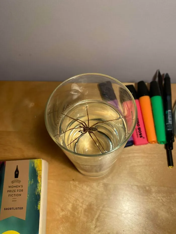 Woke Up For Some Water. Thank God I Turned On The Light Before Taking A Sip