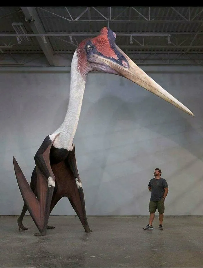 I'm So Glad I Don't Live In The Same Time As Quetzalcoutlus Northropi