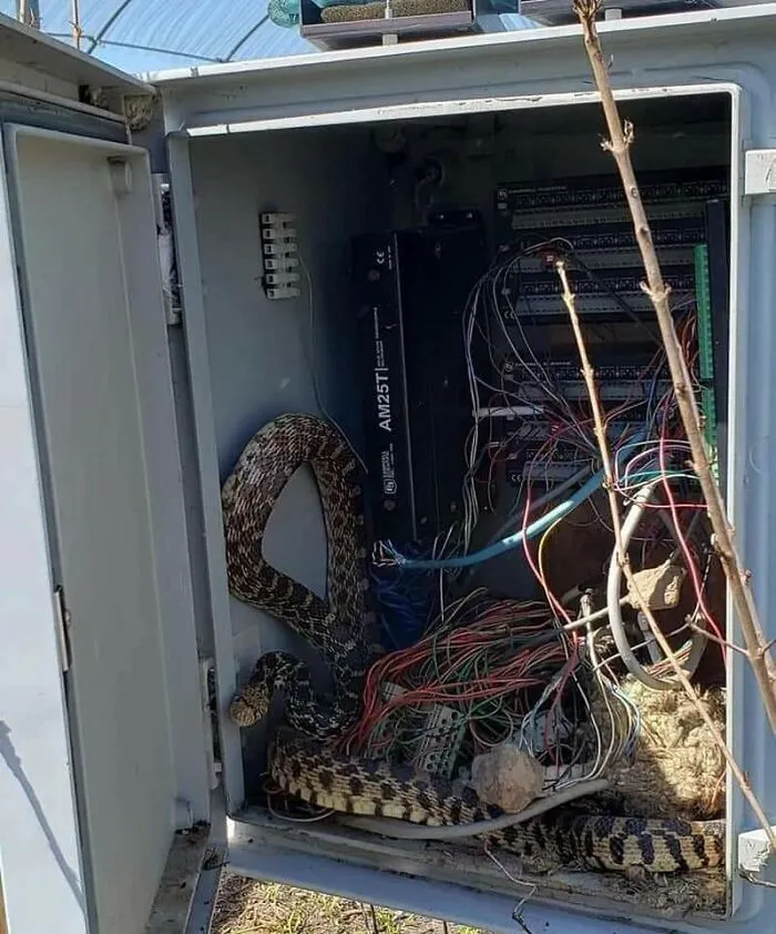 Your Typical First Day Of Your Job As The It Guy
