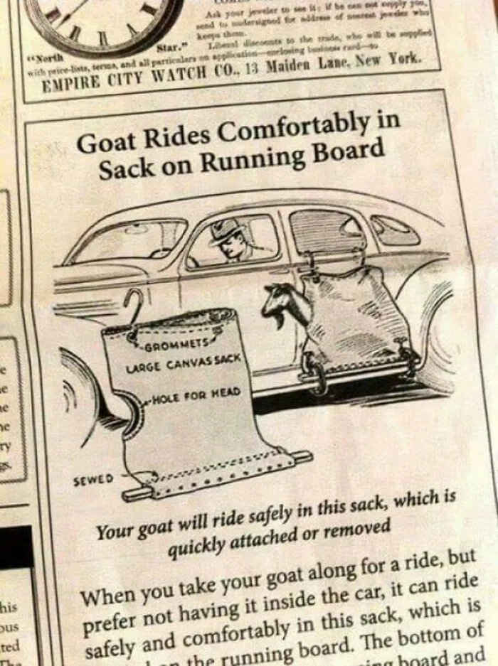 When Your Goat Needs A Lift