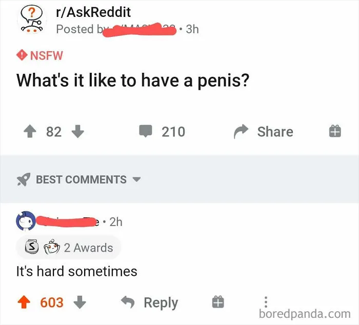 A Penis Is Like Life...