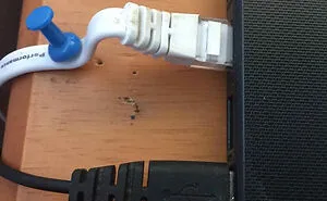 50 Clueless People Who Cannot Be Trusted With Technology