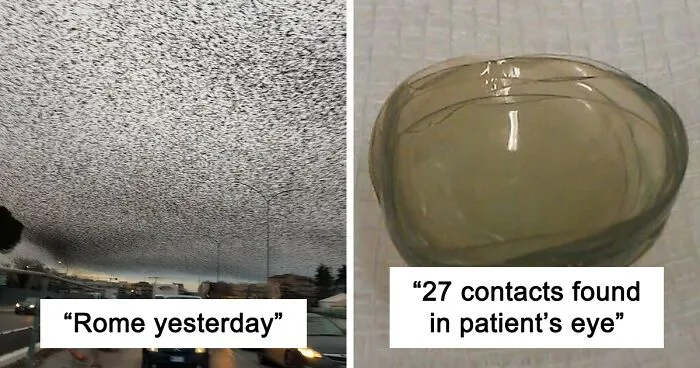 50 Of The Most WTF Images From The 'WTF' Online Group