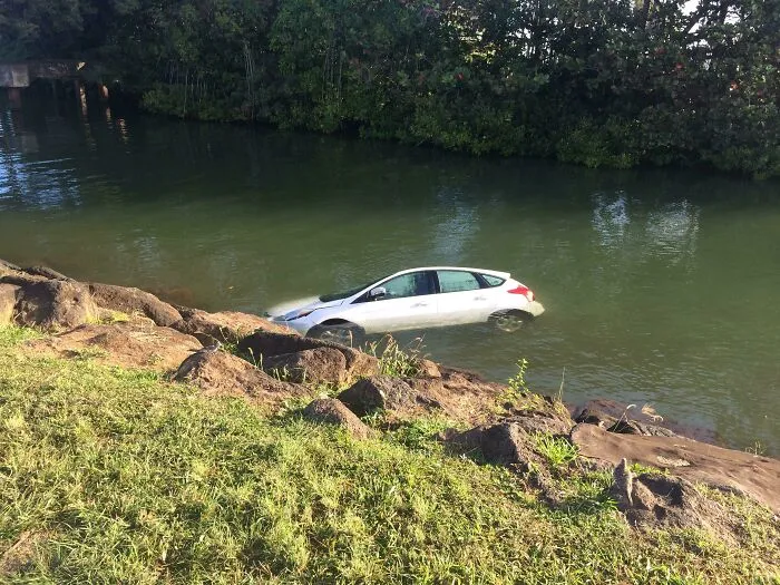 Someone Appears To Have Lost Their Focus...