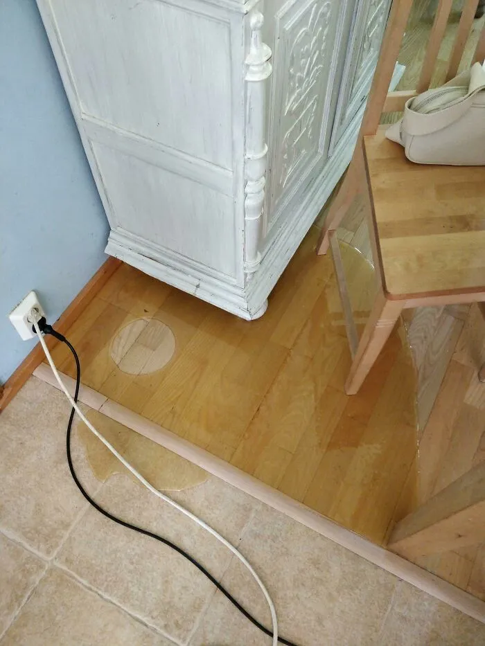 Mi madre es apicultora y accidentalmente derramó 10 kg de miel en el suelo