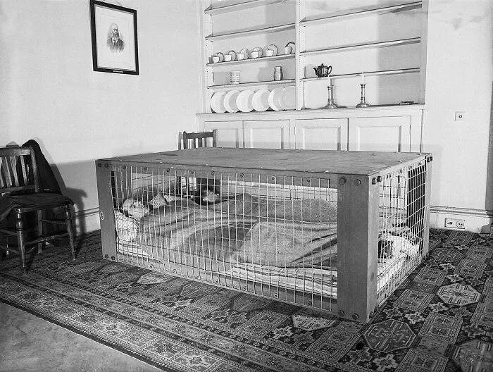 Pareja británica durmiendo en un "refugio Morrison" por si se les caía la casa durante los bombardeos de la 2ª Guerra Mundial