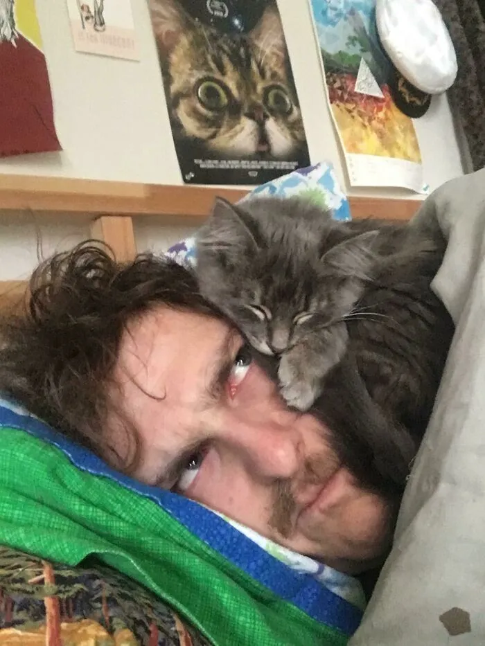 My New Cat Only Sleeps On My Head. Meet Newt