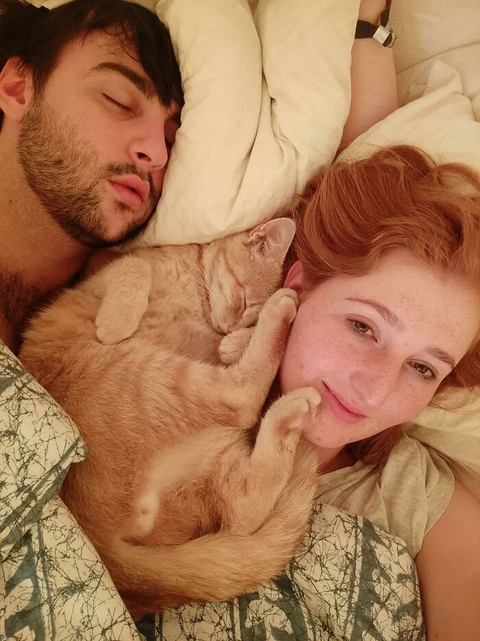 His Favourite Sleeping Spot