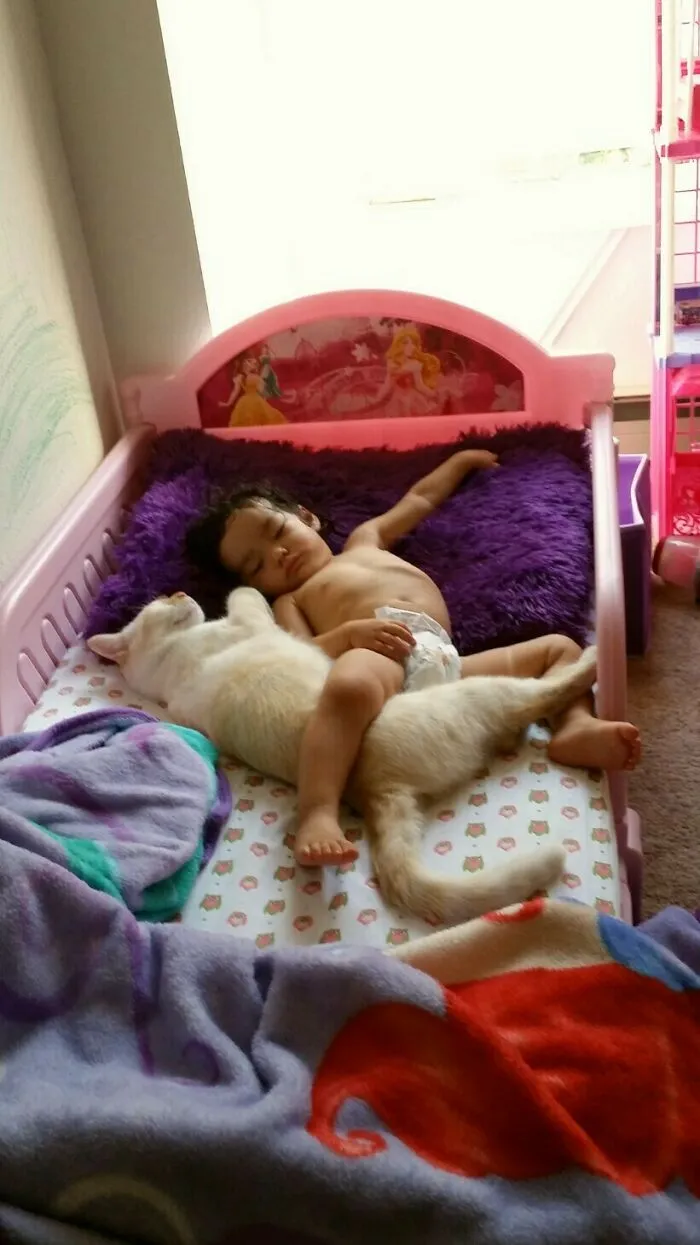 Found These Two Sleeping Like This
