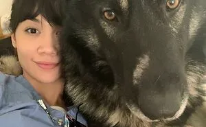 50 Dogs Who Don’t Understand How BIG They Are