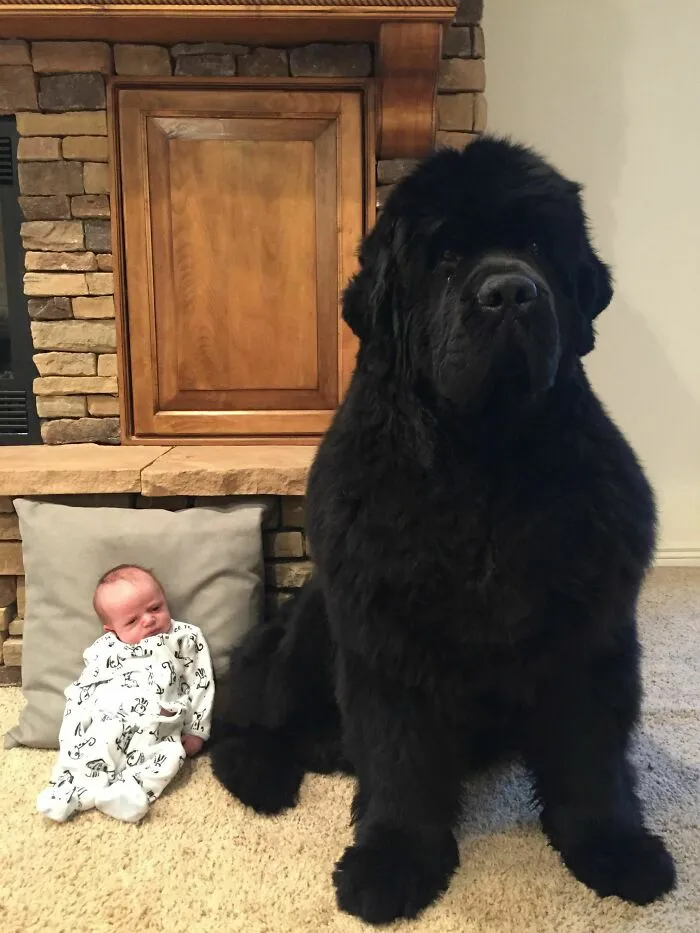 16 Months Apart