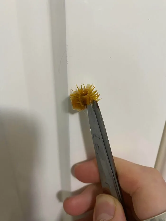 Esto estaba en una comida congelada. Está duro y afilado.