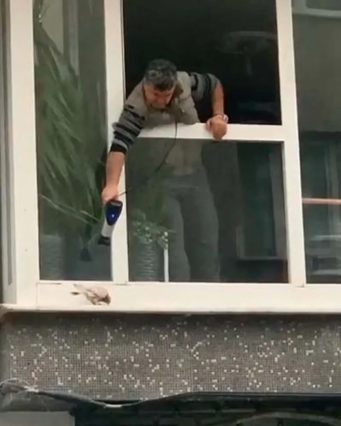 A Man Trying To Dry The Bird That Is Wet Due To The Downpour And Is About To Freeze From The Cold... With A Hair Dryer