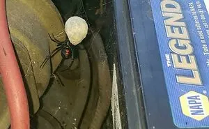 50 Pics Of People Having A Worse Day Than You