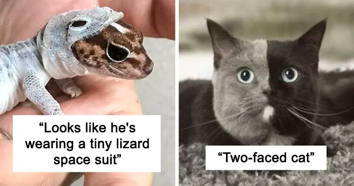 This Online Group With 7 Million Members Shares Only The Most Interesting Pics Ever, And Here're 50 Of The Best Ones