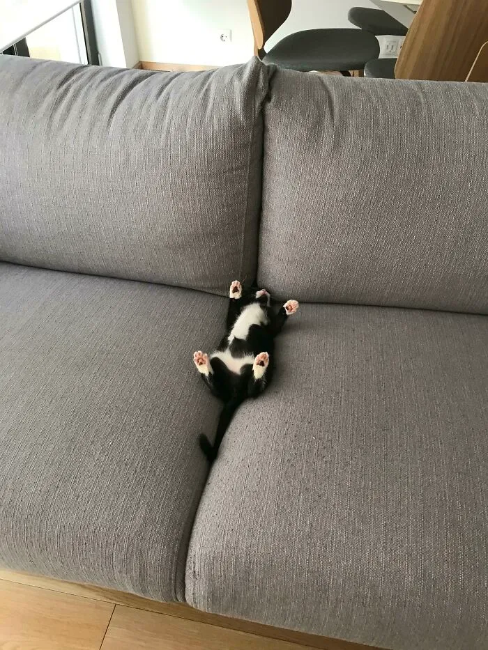 An Interesting Sleeping Position