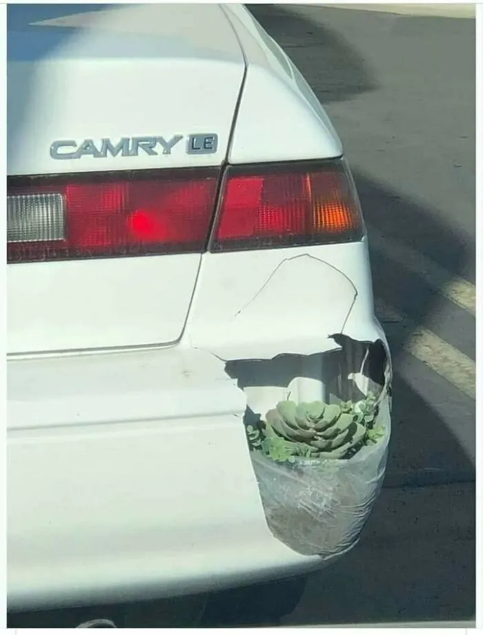 Bumper Rockery