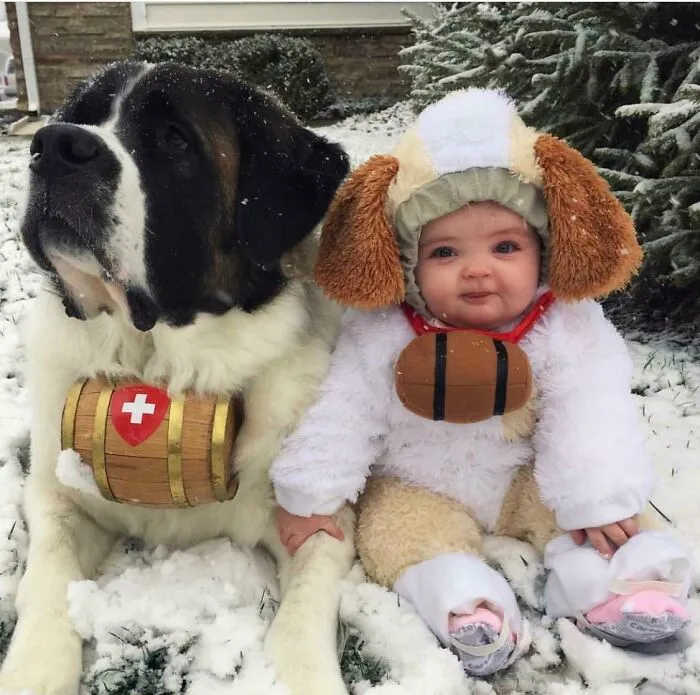 Mi hija y uno de nuestros San Bernardos, de 9 años