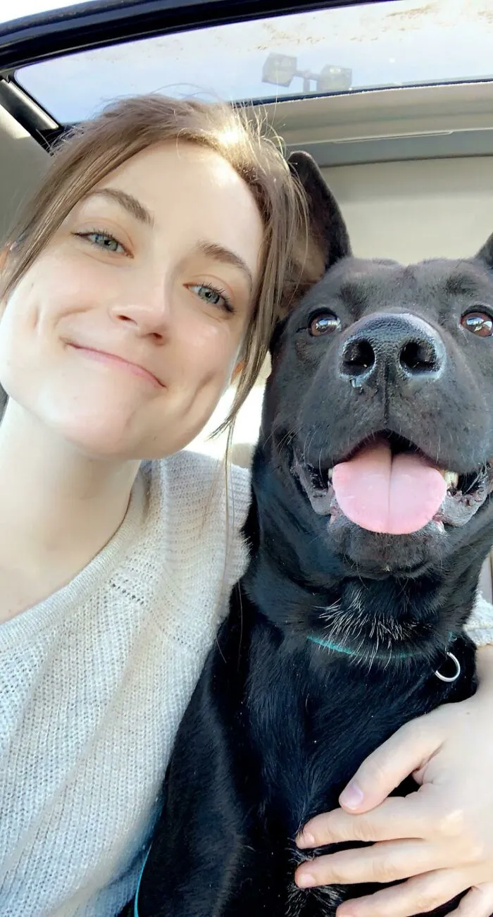 Picked Up My New Best Friend From The Shelter Today! Meet Bosewick!