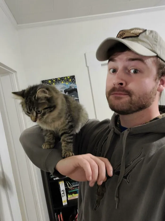 Broke Down And Got My First Cat Because Of You Guys! Meet Meeghan