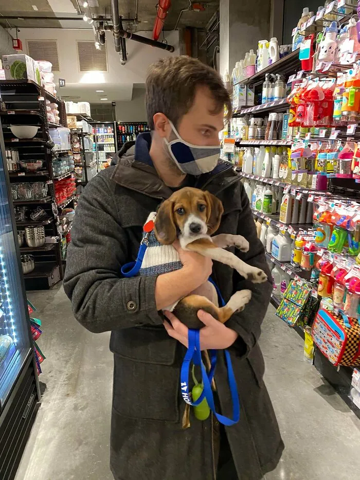 Just Adopted
