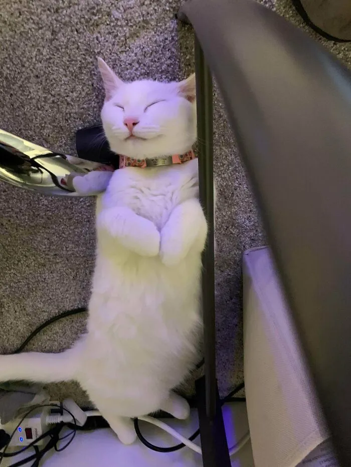 She Seems Pretty Happy With How Her Life Turned Out After Adoption